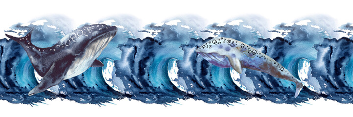 Frame with sea whale. Isolated on a white background.