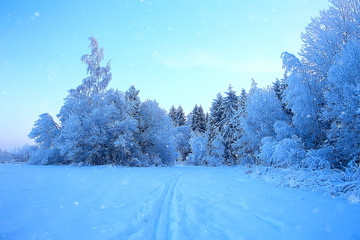 winter park, cityscape in winter weather / landscape snow, city, trees in a city park in the north