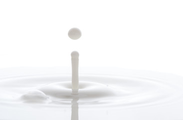 splash from falling drops of white milk on a white background