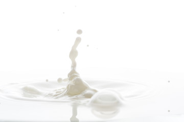 splash on the surface of white milk on a white background