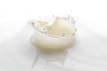 Fototapeta na wymiar splash on the surface of white milk on a white background