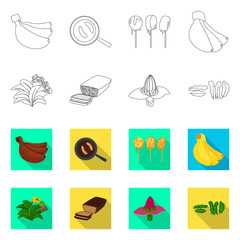 Isolated object of natural and vegetarian symbol. Collection of natural and eating vector icon for stock.