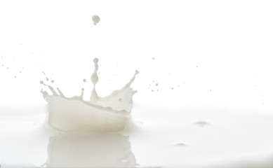 splash on the surface of white milk on a white background