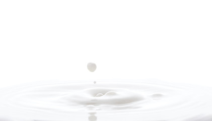 splash from falling drops of white milk on a white background