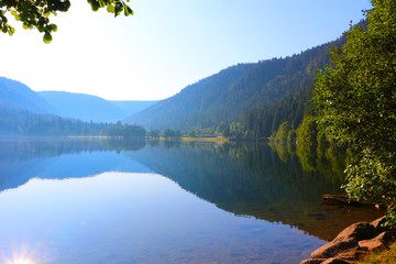Obraz premium Lake in the Vosges mountains in the morning sun (Lac de Longemer, France)
