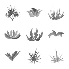 Fototapeta na wymiar Vector design of foliage and floral sign. Collection of foliage and summer stock symbol for web.