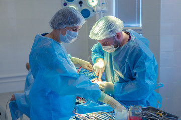 Medical Team Performing Surgical Operation in Modern Operating Room. Rhinoplasty