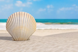 Summer Vacation Concept. Beauty Scallop Sea or Ocean Shell Seashell on an Ocean Deserted Coast. 3d Rendering