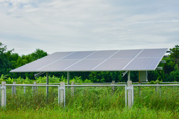 Solar Cell Used for agriculture, Solar Cell Used for agriculture from Thailand country