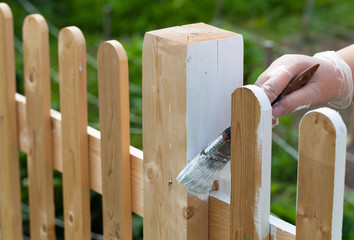 Woman paints a new wooden fence in the summer garden. Shallow depth of field. Selective focus - 286717510