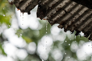 rain drops dipping from old zinc roof with blur green nature background