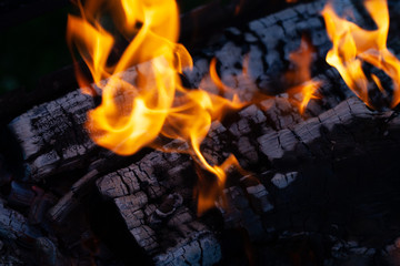 Burning wood logs, cooking on fire, warm evening, sparkles in the air, warm air from the fire