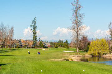 Golf course with gorgeous green and fantastic forest view.