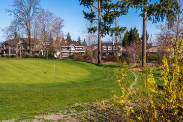 Golf course with gorgeous green and fantastic forest view.