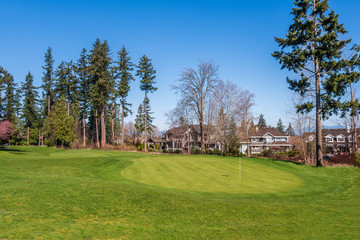 Golf course with gorgeous green and fantastic forest view.
