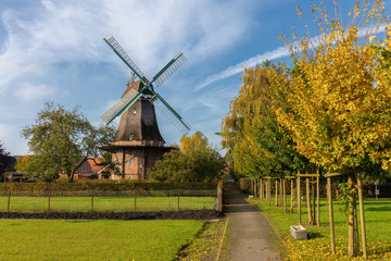 A park in the sunshine in the small town of Jemgum near Emden in northern Germany. Beautiful trees, greenery and a windmill can be seen. © wewi-creative