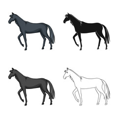 Vector illustration of horse and black symbol. Collection of horse and horseback vector icon for stock.