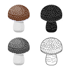 Isolated object of mushroom and amanita icon. Collection of mushroom and poisonous stock vector illustration.