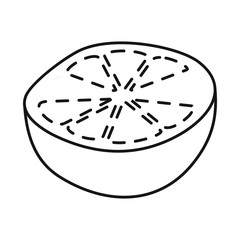 Vector design of grapefruit and juice logo. Collection of grapefruit and fruit stock vector illustration.