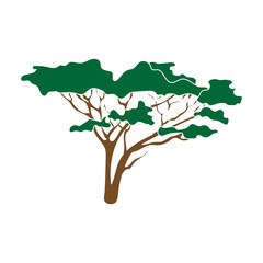 Tree in the savannah.African safari single icon in colour style vector symbol stock illustration web.