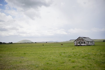 little house