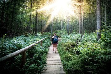 The girl is walkin down a path in the woods on a sunny day