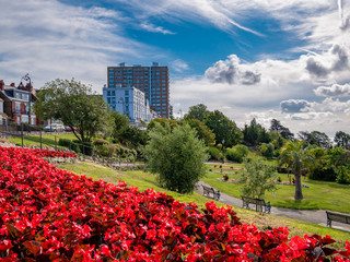 Beautiful red flowers on the seaside of Southend on Sea in a sunny day - England
