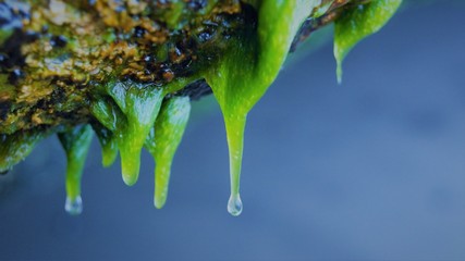 Gotas de agua