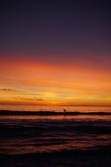 VIBRANT SUNSET WITH SURFERS SPORTS