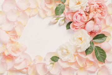 rose flowers and petals on white  background