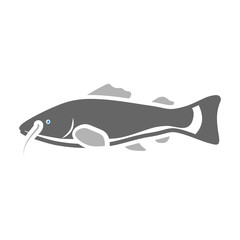 Phractocephalus hemioliopterus fish icon colour. Singe aquarium fish icon from the sea,ocean life colour.