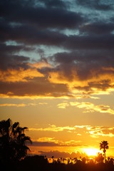 FISHERMEN TOWN BIRDS IN SUNSET