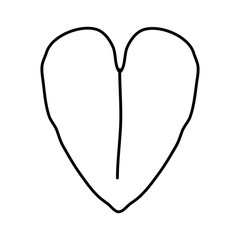 leaf plant garden nature icon