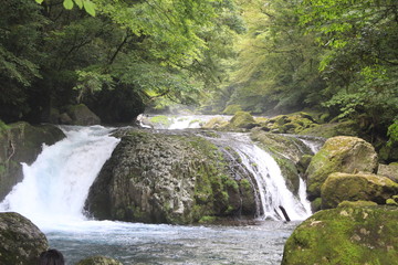 あふれ出る大自然