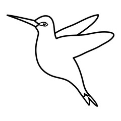 hummingbird whit flowers vector illustration