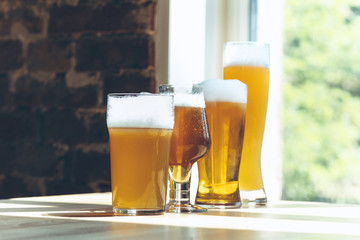 Glasses of different kinds of light beer in sunlight on brick wall background. Cold delicious alcohol drinks are prepared for a big friend's party. Concept of holiday, fun, meeting, oktoberfest.
