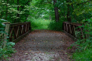 Rustic Wooden Bridge in the Forest at the Sagawau Environmental Learning Center