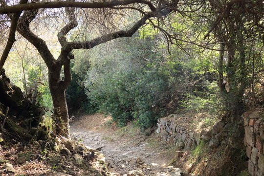 Groata / Korsika