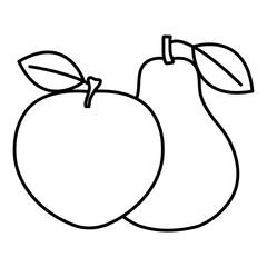 fresh pear and apple fruits