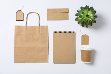 Flat lay composition with blank stationery, paper bag and succulent on white background, mockup