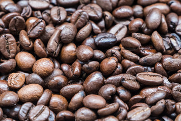 Selective focus of the arabica coffee roasted beans.