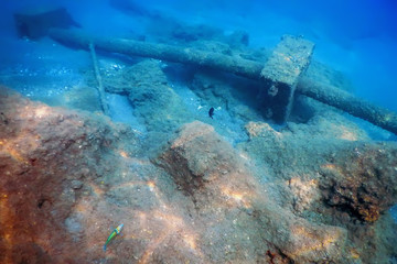 Shipwreck in the Blue Water, Rusty Shipwreck with Growing Corals, Underwater Sunken Ship