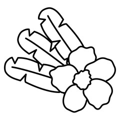 exotic and tropical flower with leafs garden