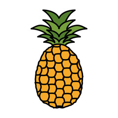 Obraz premium fresh pineapple fruit nature icon