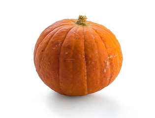 single orange Baby Bear pumpkin isolated on white background