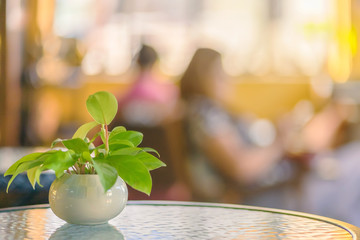 Artificial plants or plastic tree on table for decoration and welcome for customers in coffee shop.