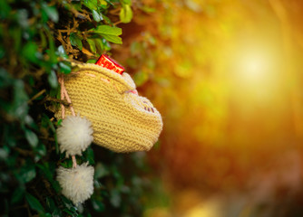 Closeup selective focus of present box in the sock hanging on the bush with blurred trees in background. Christmas and New year festival concept