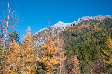 jaegersee im kleinarl tal in salzburg österreich