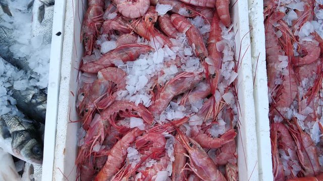 Frozen fish and shrimps in fish market