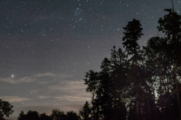 Obraz na płótnie Canvas Starry night sky in duck mountain provincial park